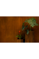 Mango Wood Plant Stand Set (2) | Dutchbone Ribble | Dutchfurniture.com