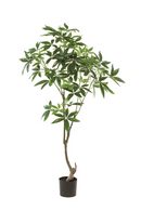 Artificial Money Trees - S (2) | Emerald Pachira | Dutchfurniture.com