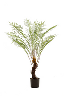 Faux Green Tropical Plants (2) | Emerald Dicksonia | Dutchfurniture.com