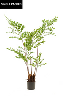 Faux Potted Palm Tree | Emerald Fishtail | Dutchfurniture.com