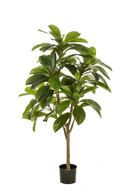 Potted Faux Tropical Trees (2) | Emerald Frangipani | Dutchfurniture.com
