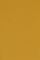 Yellow Dining Chairs (4) | DF Stacks | Dutchfurniture.com