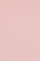 Pink Dining Chairs With Arms (4) | DF Stacks | Dutchfurniture.com