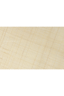 Natural Rattan Modern Coffee Table | DF Haru | Dutchfurniture.com
