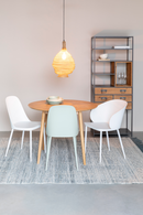 Modern Molded Dining Chairs (2) | DF Pip | Oroatrade.com