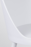 Modern Molded Dining Chairs (2) | DF Pip | Oroatrade.com