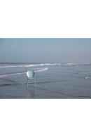 Minimalist Molded Dining Chairs (2) | Zuiver The Ocean | Dutchfurniture.com