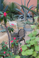 Black Molded Outdoor Armchairs (2) | Zuiver Albert Kuip | DutchFurniture.com