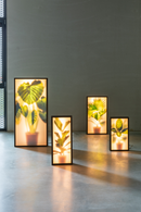 Houseplant Glass Floor Lamp M | Zuiver Grow | DutchFurniture.com