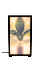 Houseplant Glass Floor Lamp M | Zuiver Grow | DutchFurniture.com