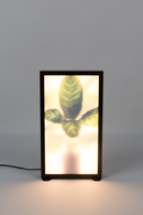 Houseplant Glass Floor Lamp M | Zuiver Grow | DutchFurniture.com