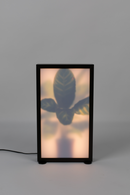 Houseplant Glass Floor Lamp M | Zuiver Grow | DutchFurniture.com
