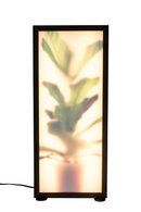 Houseplant Glass Floor Lamp L | Zuiver Grow | DutchFurniture.com