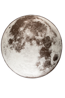 Round Outdoor Rug | Zuiver Moon | Dutchfurniture.com